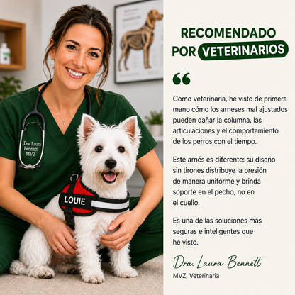 Arnés ergonómico Personalizable DogsEase™