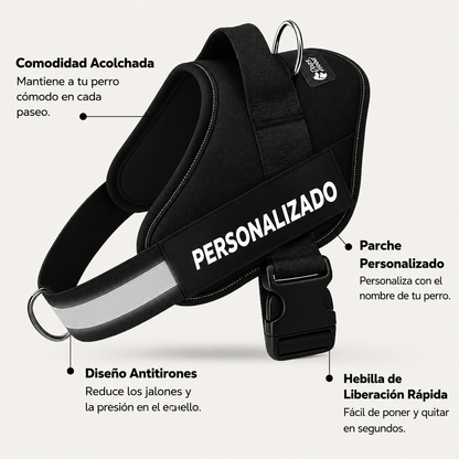 Arnés ergonómico Personalizable DogsEase™