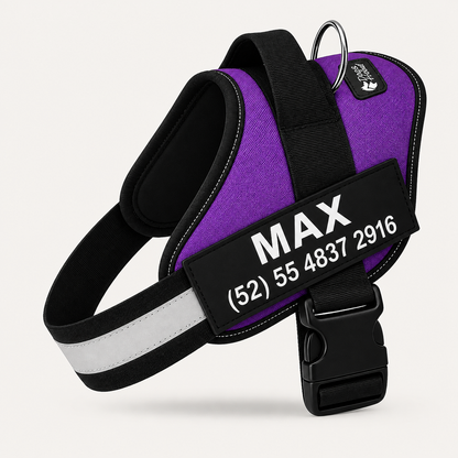 Arnés ergonómico Personalizable DogsEase™