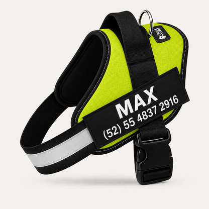 Arnés ergonómico Personalizable DogsEase™