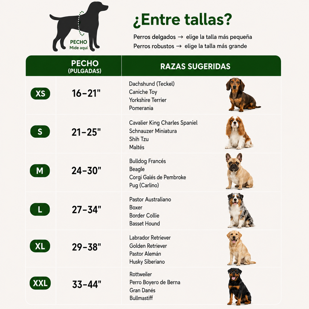 Arnés ergonómico Personalizable DogsEase™