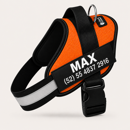 Arnés ergonómico Personalizable DogsEase™